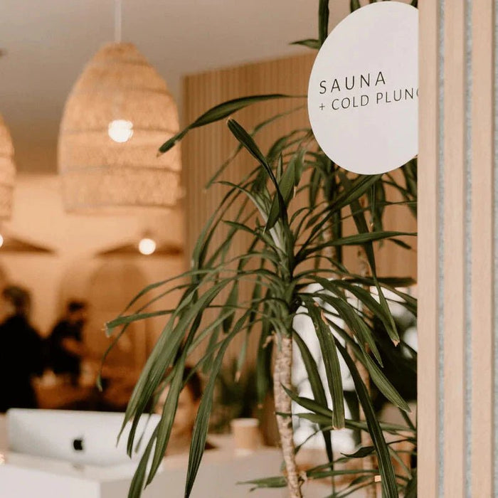 The Loft chooses Edda for Lash, Skin, and Brow Services - Plush + Oak