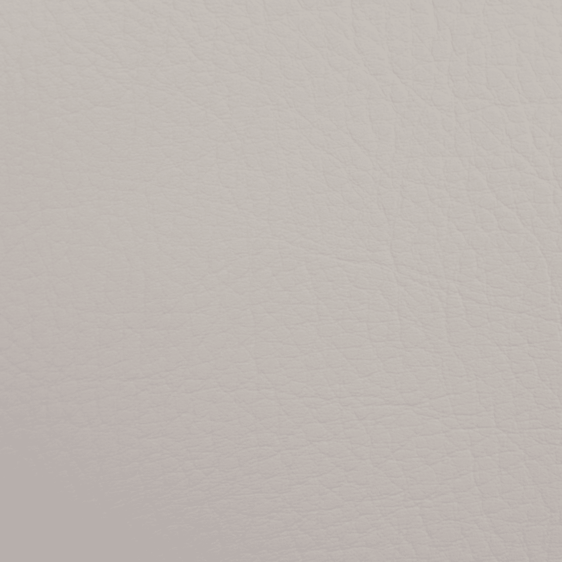 #color_bone
